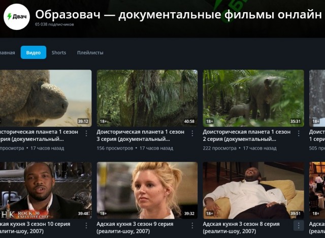 Это победа! Rutube впервые обогнал YouTube в России по количеству зрителей за день