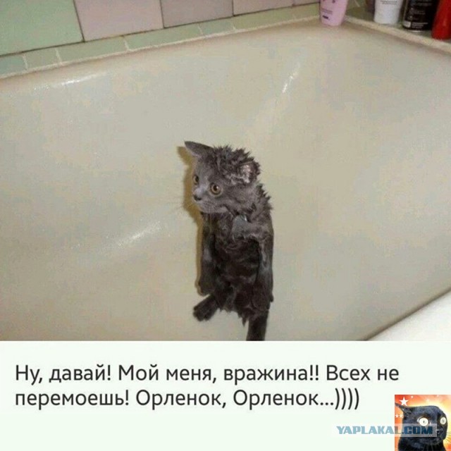 Да, я обиделся!