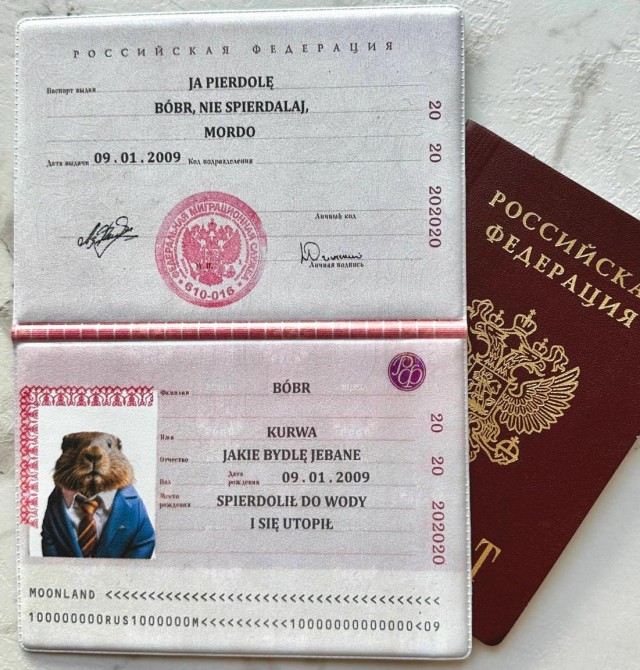 Неожиданное сходство