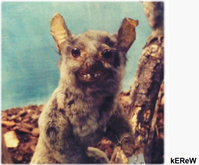 Мелкий пакостник