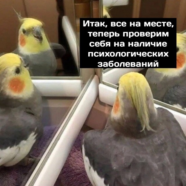 У женщины нашли опухоль мозга, о которой её предупредили голоса в голове