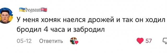 *БАЯН*Когда купил хомяка
