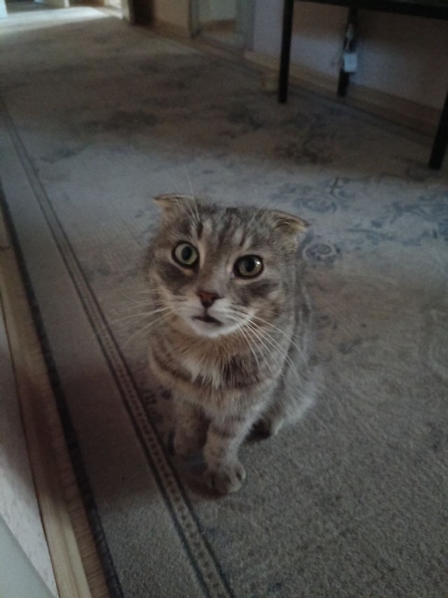 Что хотел, то и получил)