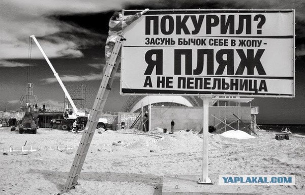Лютая социалка