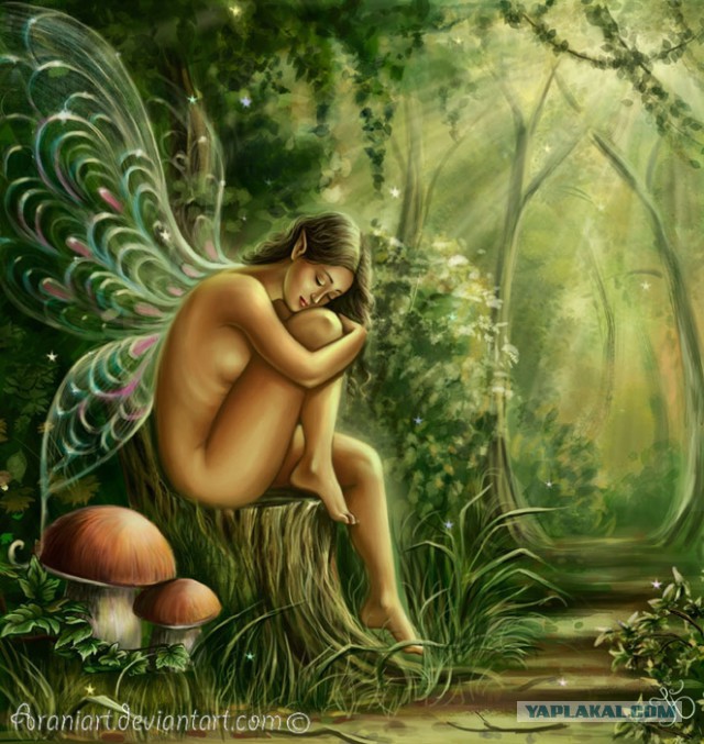 Плюсомет со шпалометом