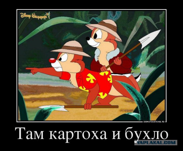 Бурундук кушает картошку с мужиками!