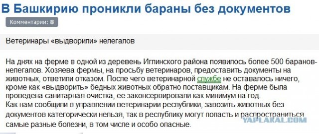 На форуме ветеринары есть?