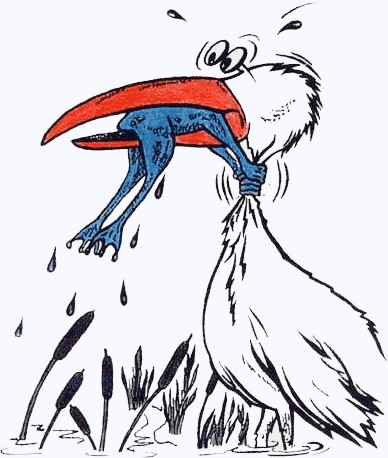 Лучшие фотографии недели