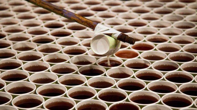 Гигантская мозаика из 66000 бумажных стаканчиков