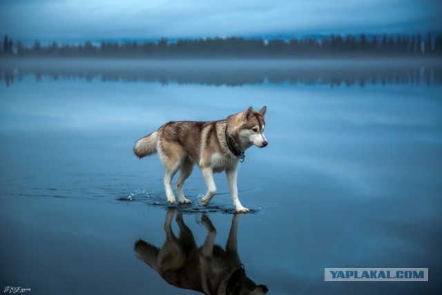 100 лучших фото без фотошопа