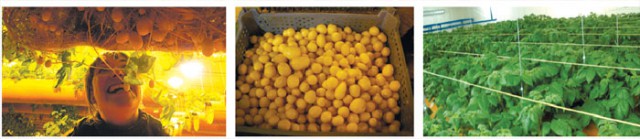 Как Россия пережила Малый ледниковый период