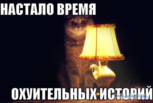 Нужно ли платить за девушку?