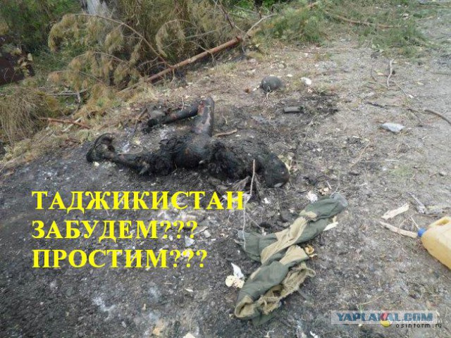 Мои впечатления о Такжикистоуне