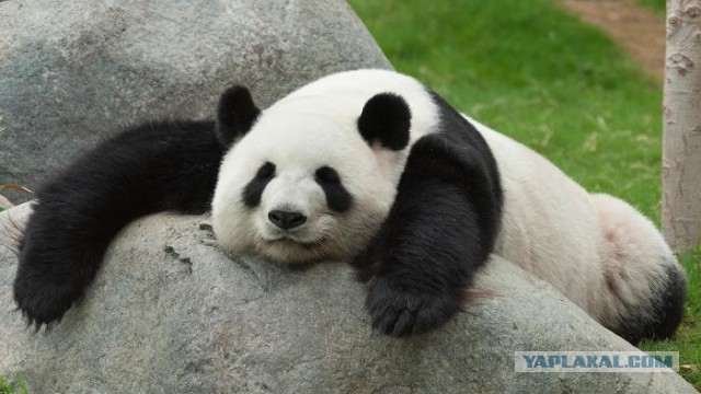 Подборка прикольных фото