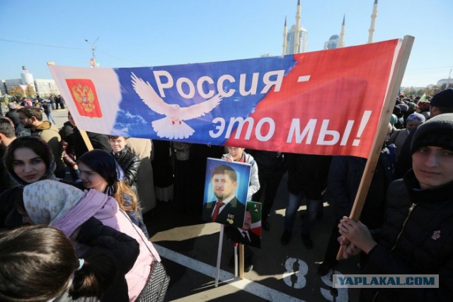 Вице-спикер Госдумы призвал пресекать шутки над патриотизмом в соцсетях