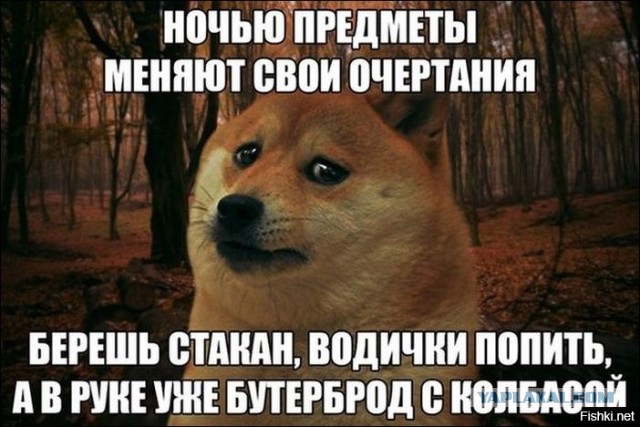 Подборка интересных и веселых картинок
