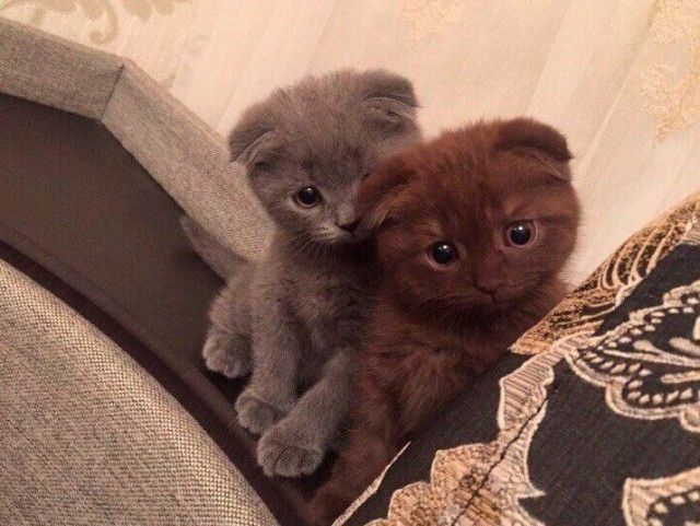 Фотки всякие разные...