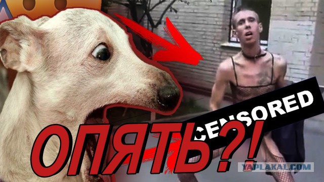 Ну вот теперь точно - дно достигнуто!