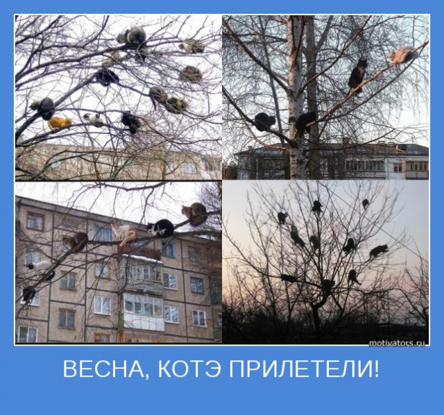 Это мои детки и я буду их растить!