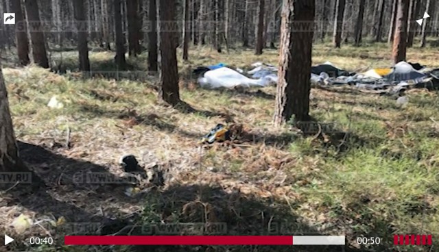 В лесу нашли пропавшего 2 года назад туриста, прикованного к дереву наручниками