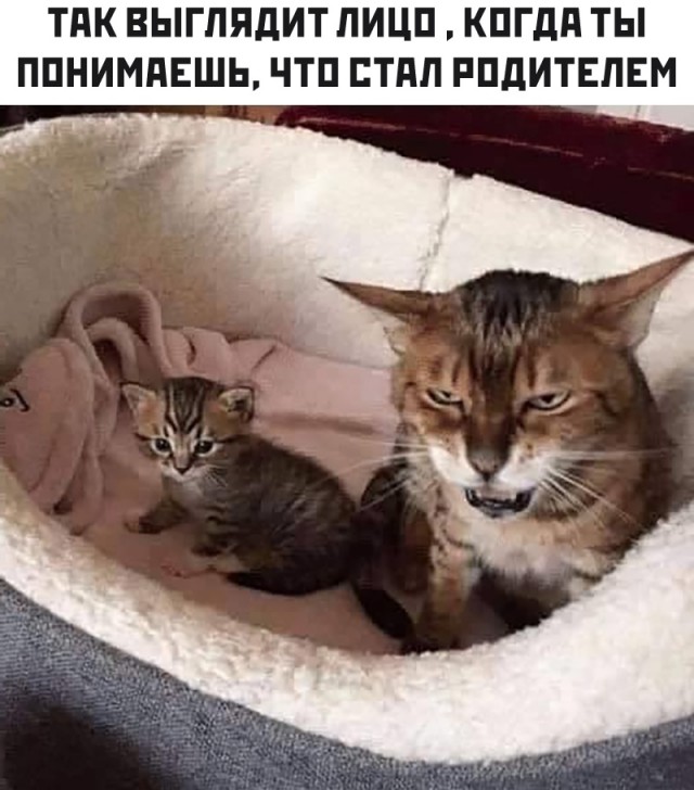 Так себе картинки 14.05.20
