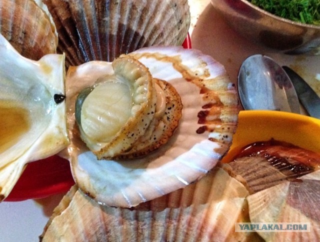 #ДРЯПнем! Или Кулинары поздравляют ЯП с ДР! Солянка из морской капусты с кальмаром