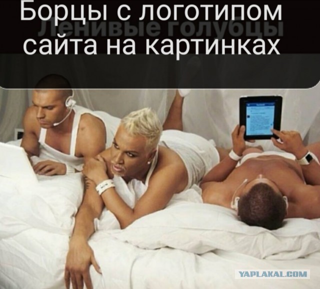 Юмор и прикольные картинки
