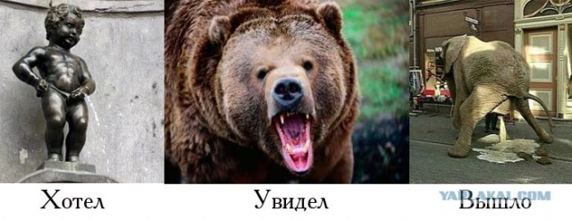 Фотожаба: Что хотел, как вышло