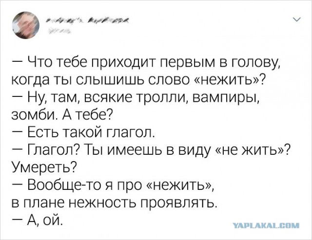 Свинегрет: картинки, надписи и прочее на 08.01.21 или №29