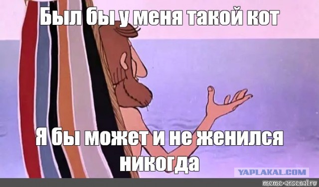 Предупредительная кошка