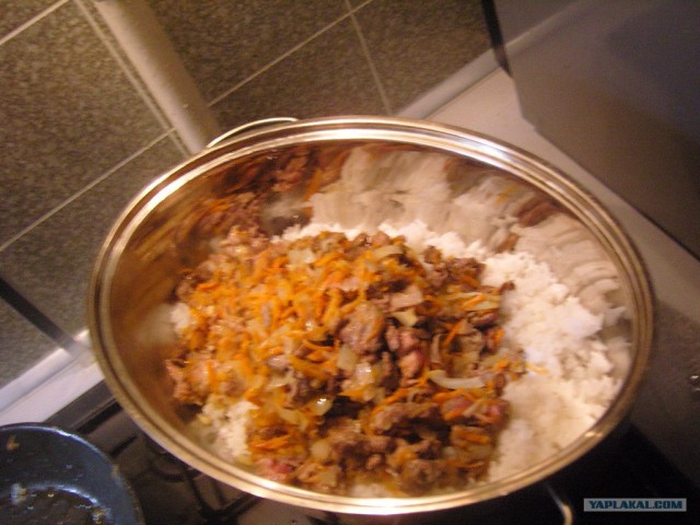 ПЛОВ