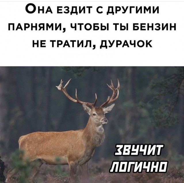 Всяческие картинки 29.11.2021