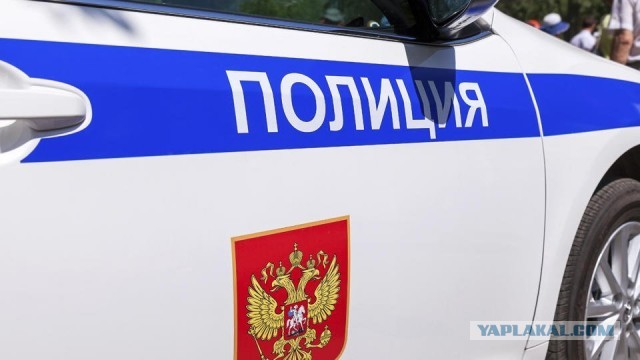 В Москве разыскивают насильника, ударившего свою жертву ножом в шею