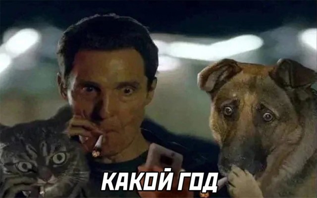 Картинки и мемы для настроения 13.12.2021