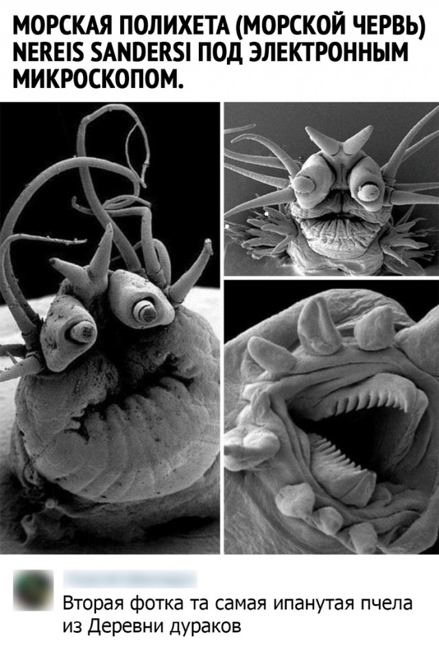 Чуток картинок 22.12.21