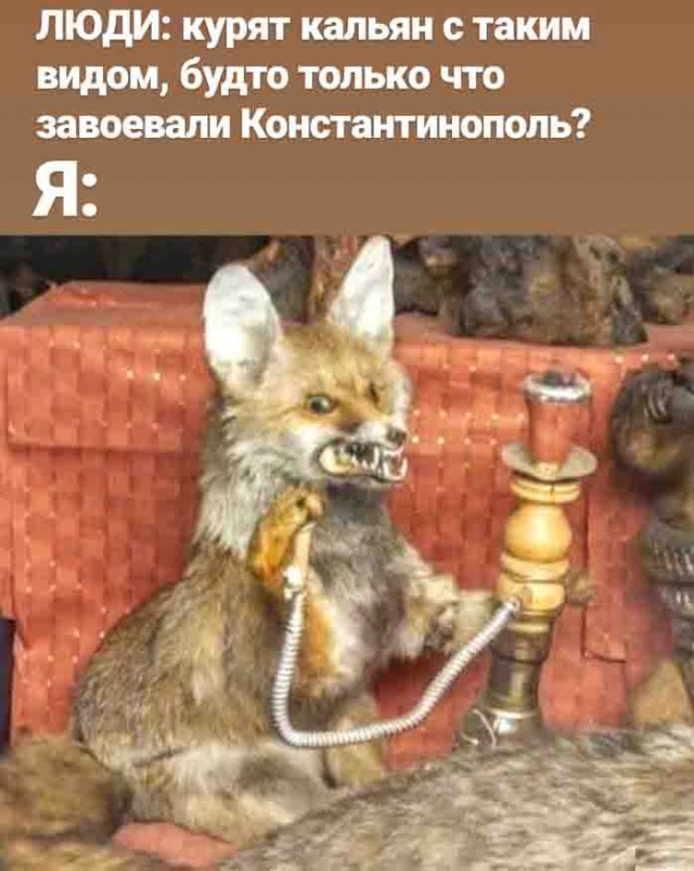 Всякой Хни вам в ленту, дорогие деграданты...