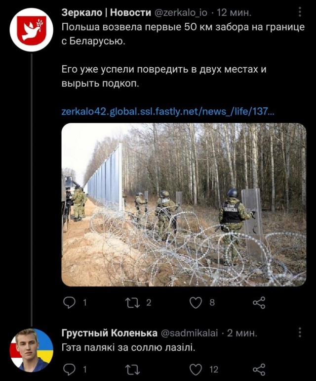 На границе с Беларусью Польша построила первые 50 километров стены высотой около 5 м