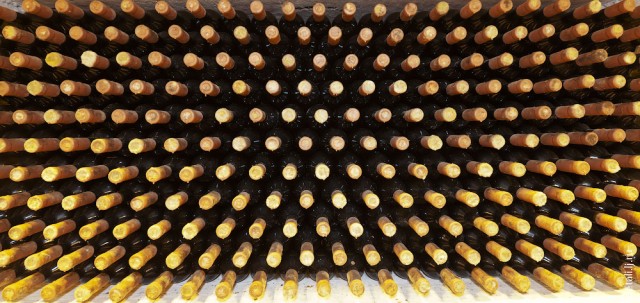 Криковские подвалы