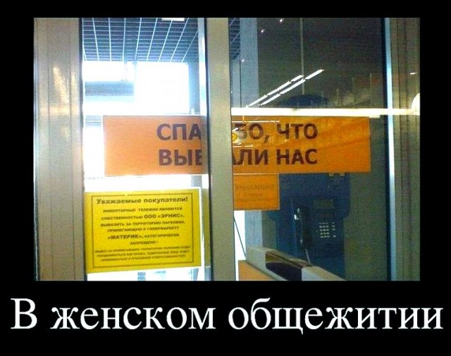 Малозарядная лента субботних анекдотов с картинками