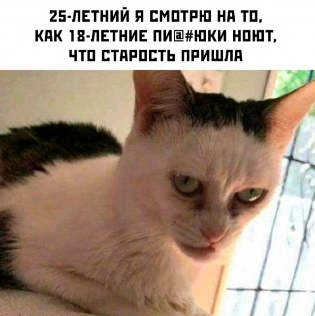 Весёлый полтишок 15.07.22