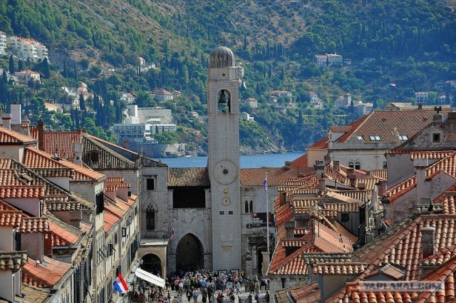 Любовь с первого взгляда