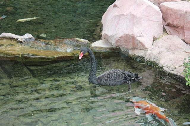 Деревенская Америка