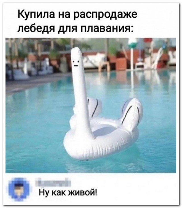 Забавные комментарии из социальных сетей (03.07.23)