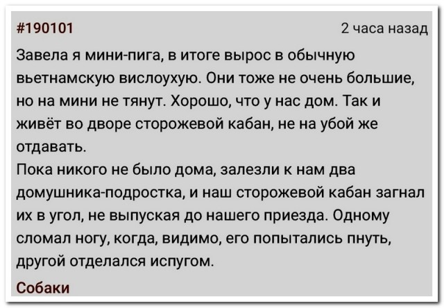 Забавные комментарии из социальных сетей (24.07.23)