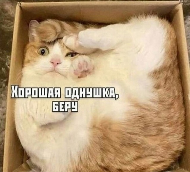 Так себе картинки 08.08.23