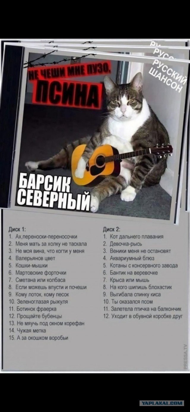 Дохлый женский аргумент: они свято верят, что они нужны мужчинам ради уюта
