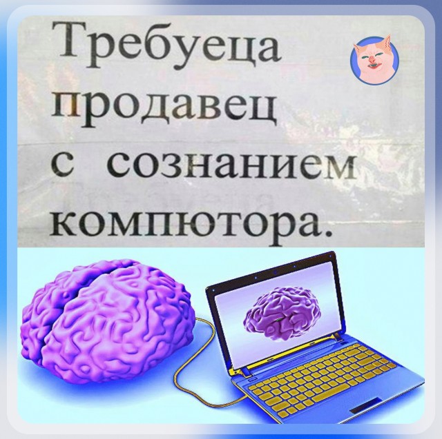 11 порция соуса нежность