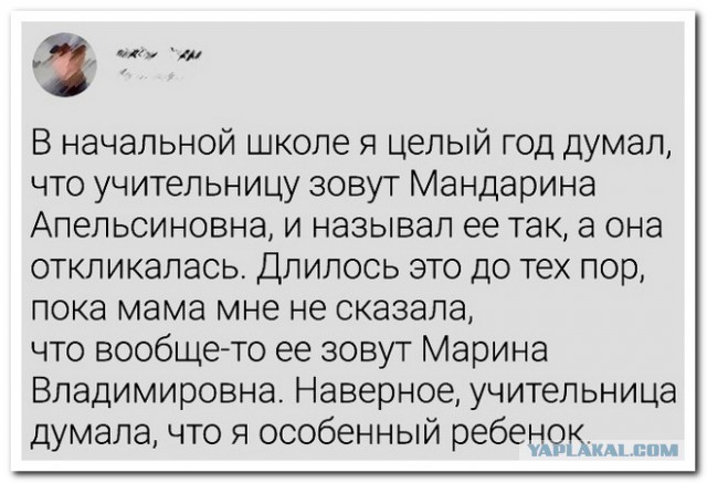 Забавные комментарии из социальных сетей (27.11.23)