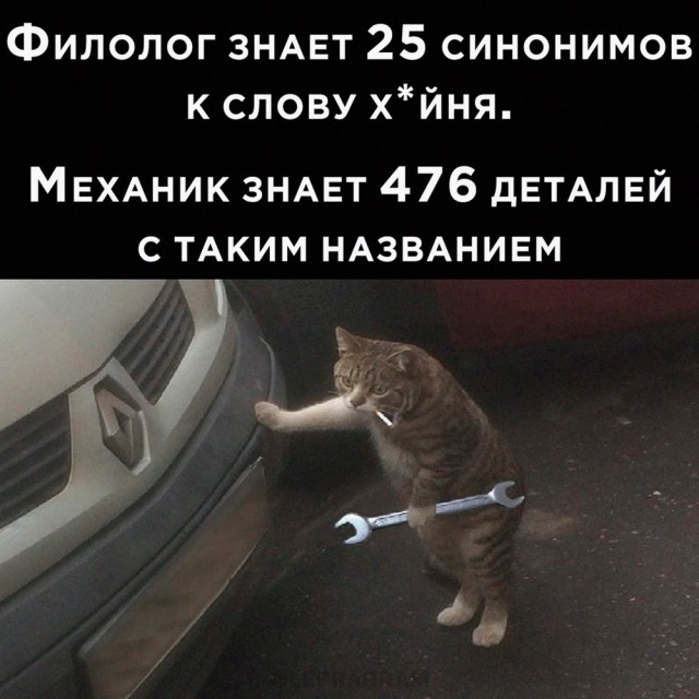 Забавные картинки, шутки из этих ваших интернетов