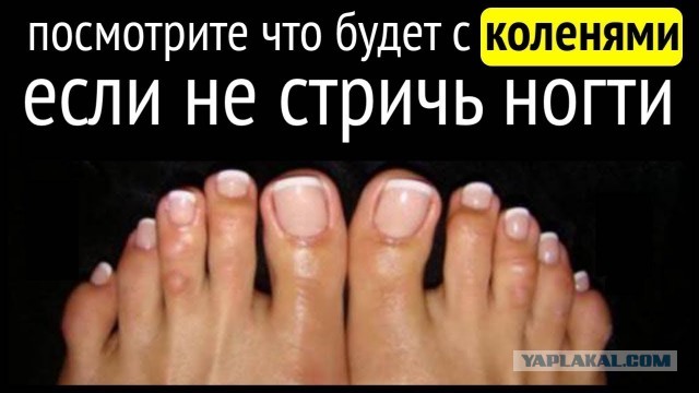 Кто проверял?